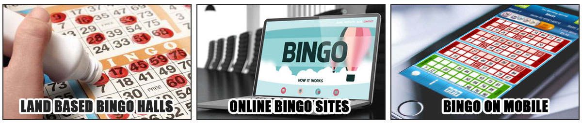 Online Bingo Sites That Accept Us Players