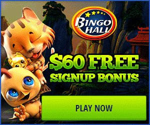 bingo hall casino no deposit bonus